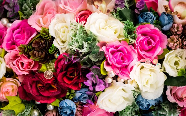 Россыпь бабочек