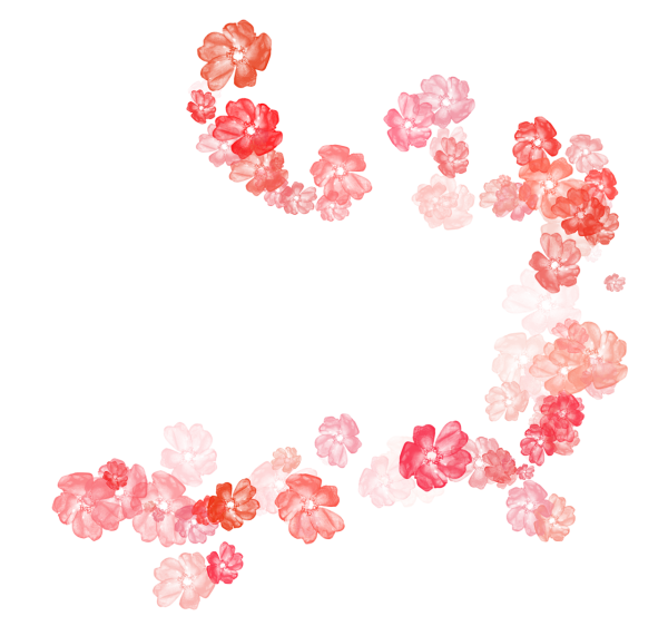 Цветы на прозрачном фоне