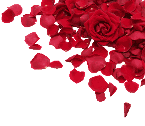 Цветочный коллаж