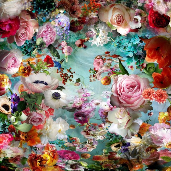 Россыпь цветов