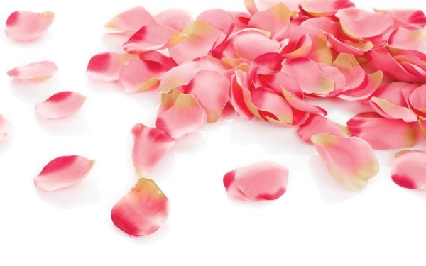 Россыпь роз