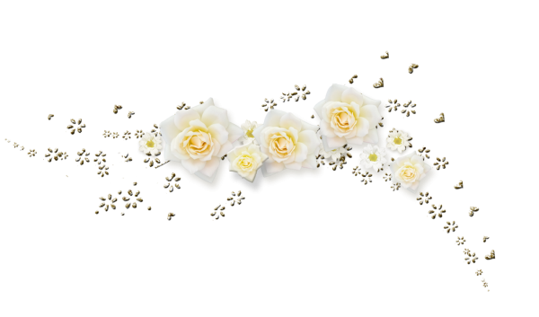 Цветы на белом фоне