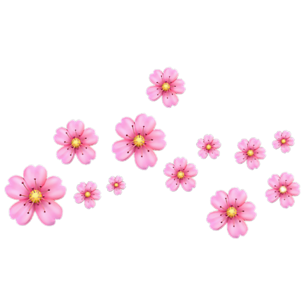 Розовые цветы на прозрачном фоне