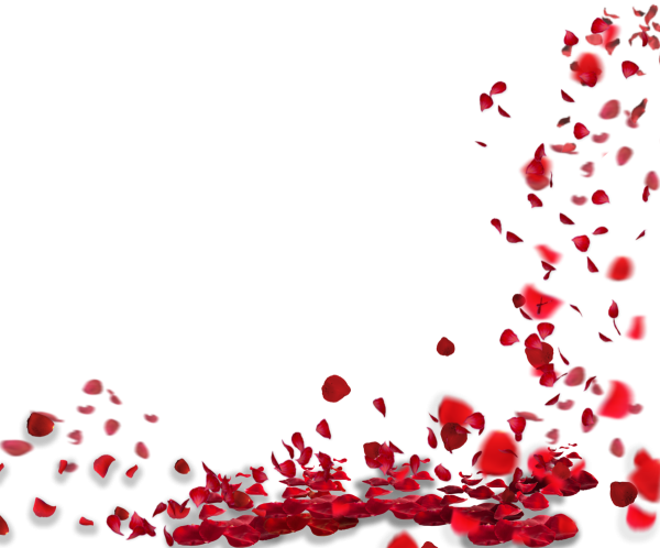 Россыпь мелких фиолетовых лепестков