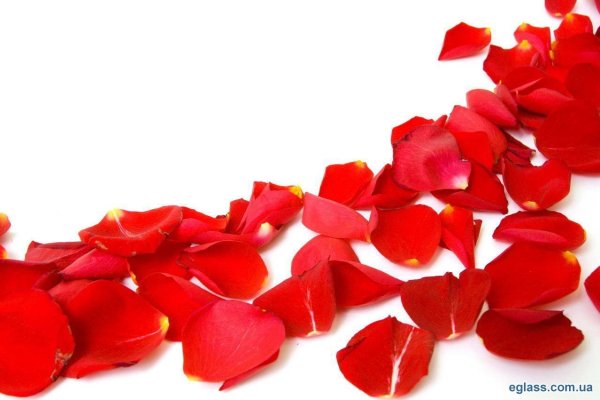 Рассыпанные лепестки