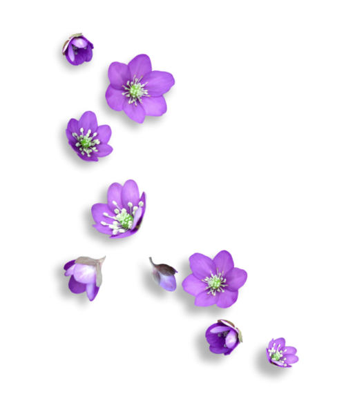 Цветочный фон