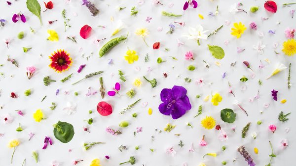 Цветочный декор на белом фоне