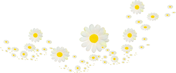 Белые цветы на прозрачном фоне