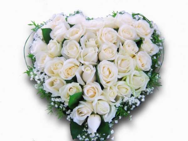 Сердце из белых роз
