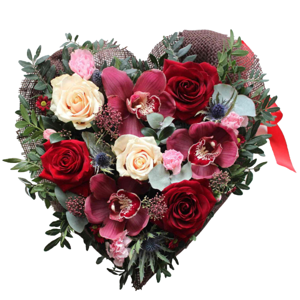 Роза Нобилис