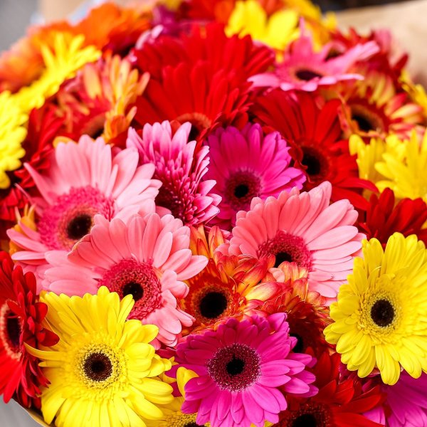 4 Герберы в букете