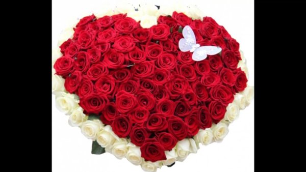 Огромное сердце из роз