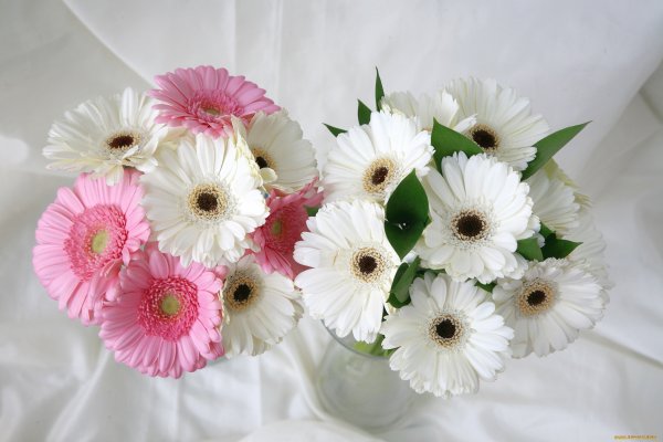 Букет гербер