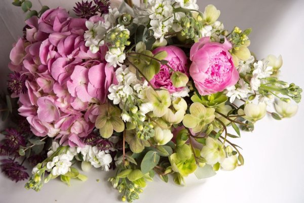 Цветы пионы и гортензии