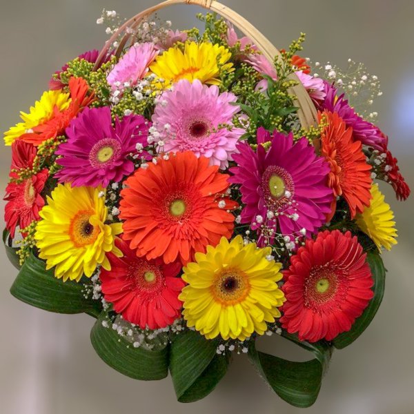 Яркие цветы