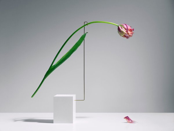 Дизайнерские букеты