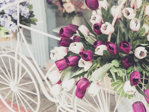 Букет цветов