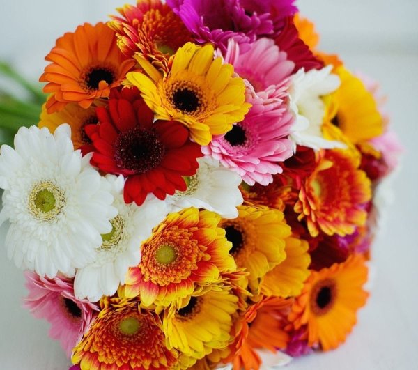 Букет "герберы и лилии"