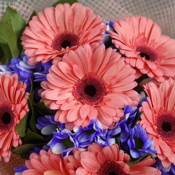 Букет гербер микс