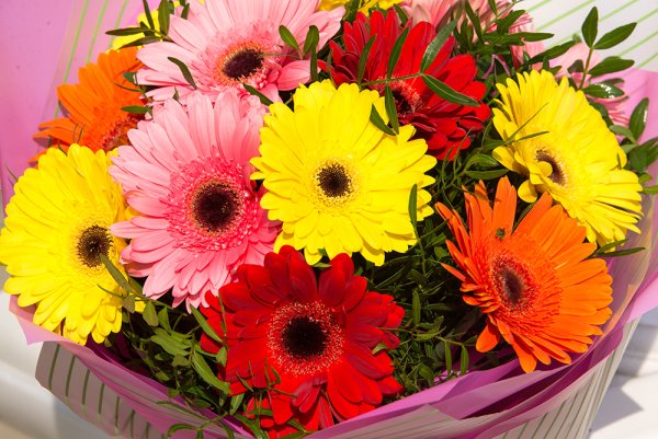 Букет "герберы и ромашки"