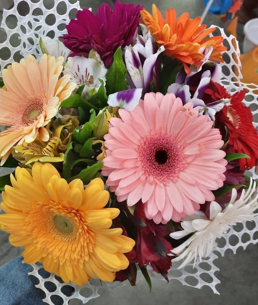 Цветы Гербера букет