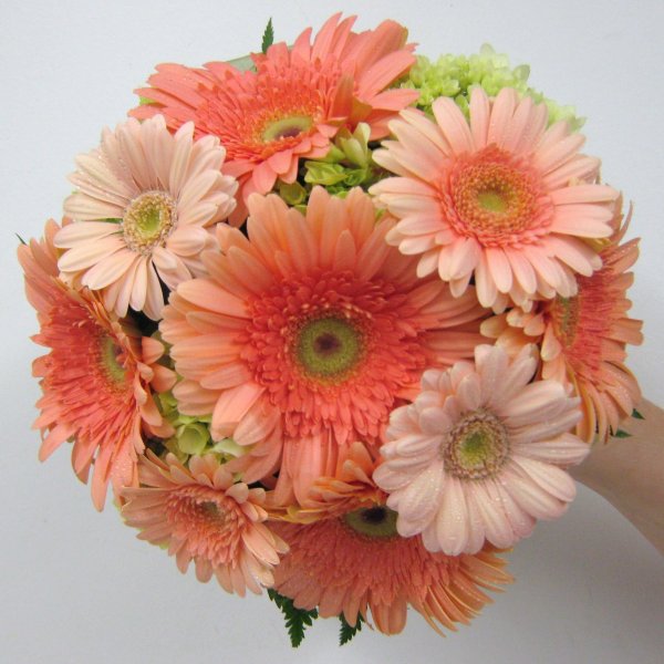 Красивые яркие цветы