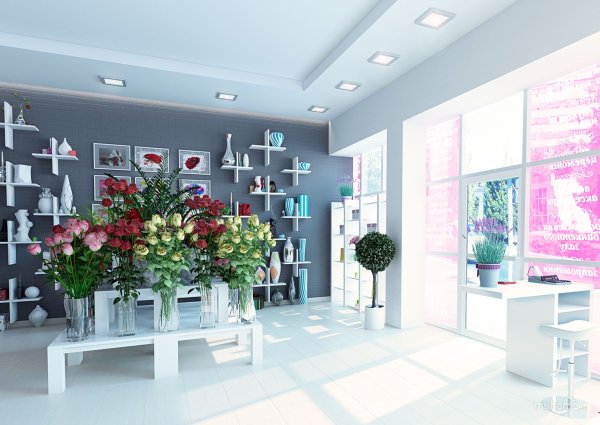 Грейс Чао Grace Ciao