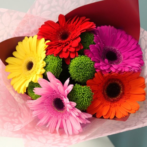 Монобукет из гербер