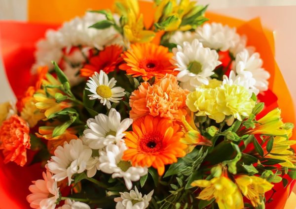 Герберы в вазе