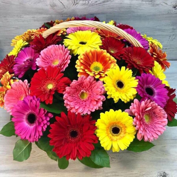 Герберы и астры