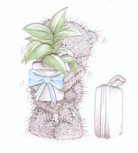 Медвежонок Тедди с цветами