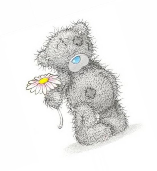 Мишка Тедди