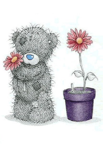 Тедди с цветами