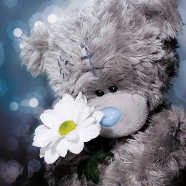 Тедди с цветами