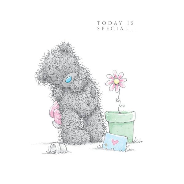 Тедди девочка