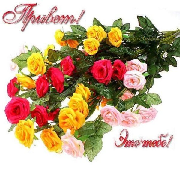 Красивое Приветствие с цветами