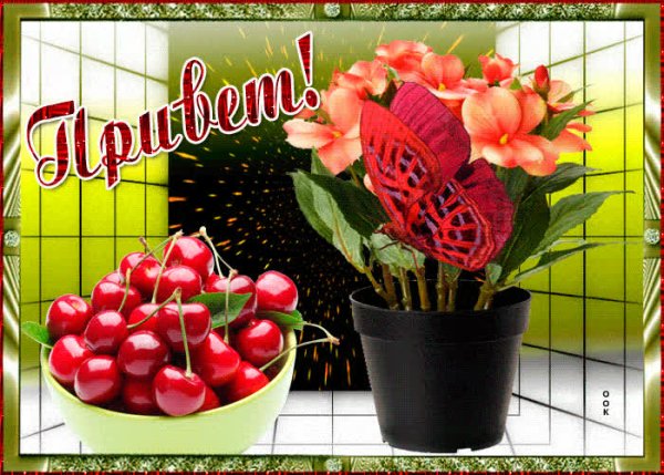 Открытка приветик от меня и отличного настроения