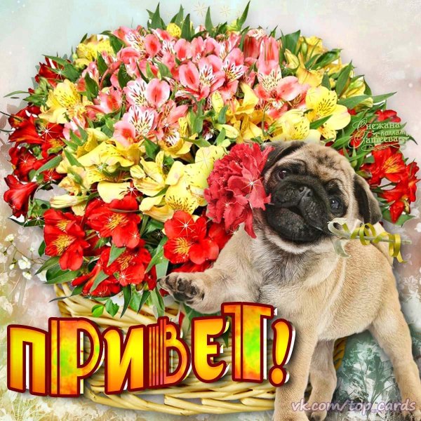 Привет тебе букет
