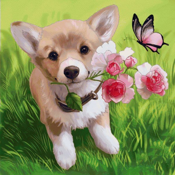 Открытки собачки с цветами