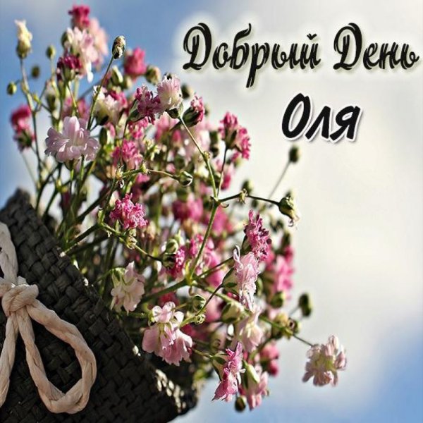 Добрый день Василий