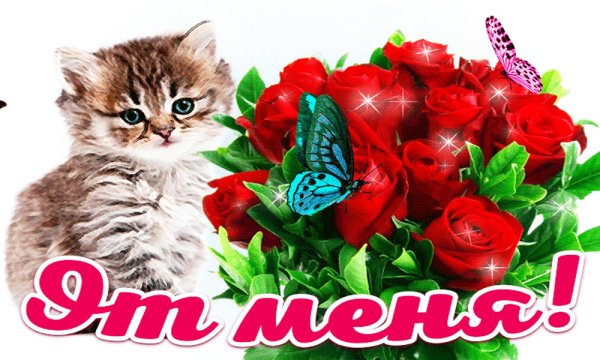 Приветик и букетик