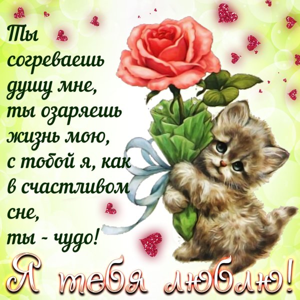 Цветы для тебя