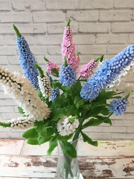 Цветы семейства Вероника