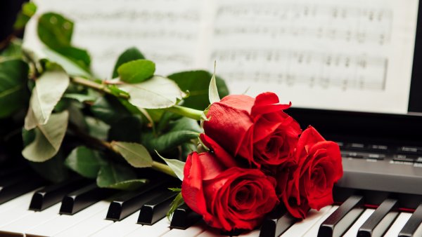 Розы на рояле
