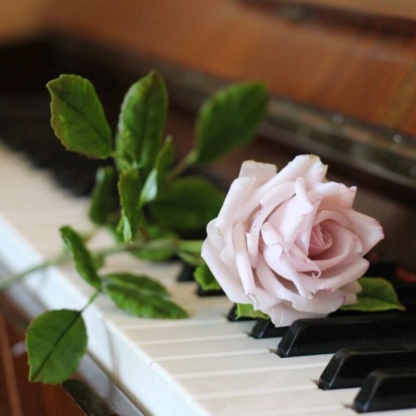 Рояль с цветами
