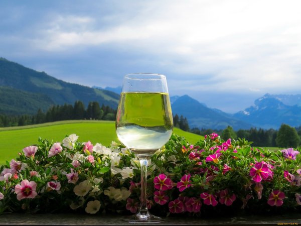 Бокал в горах