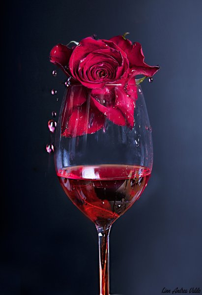 Вино и цветы