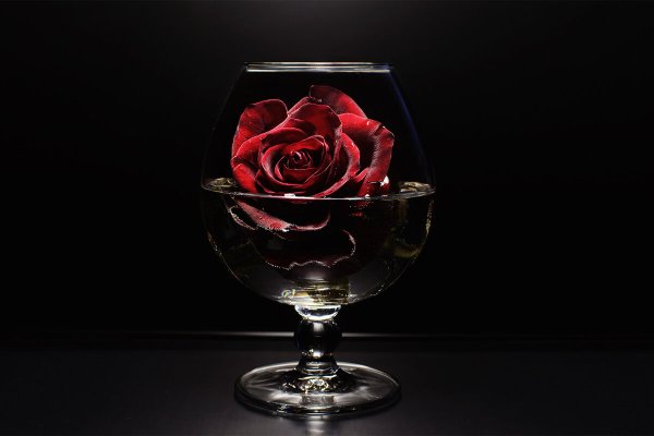 Вино и цветы