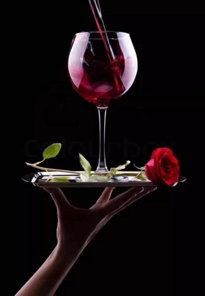 Девушка с вином и цветами