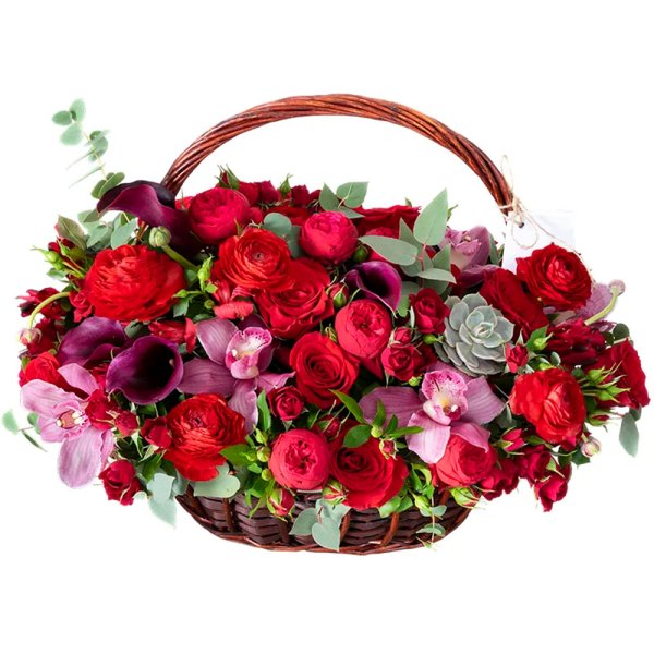 Огромная корзина цветов